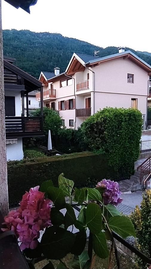 Green House Nest Levico Левико Терме Екстериор снимка
